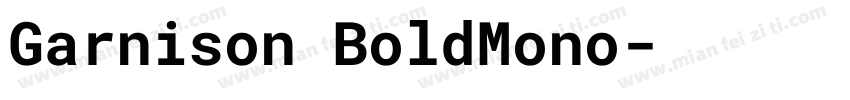 Garnison BoldMono字体转换
